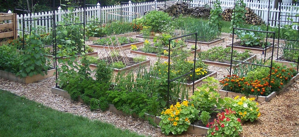 SquareFootGardening